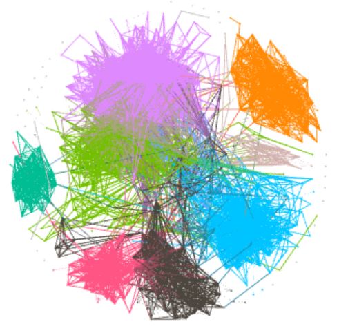 Gephi Fruchterman Reingold view